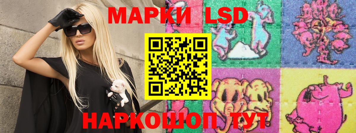 МЕФ Новодвинск