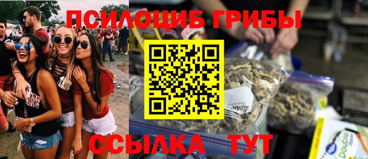Псилоцибиновые грибы Psilocybe Новодвинск