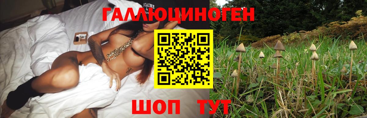 Новодвинск  Псилоцибиновые грибы GOLDEN TEACHER  Вход с VPN 